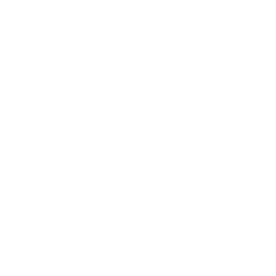Shirt Icon