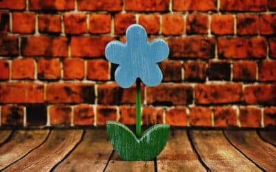 Ideas For Spring Branding